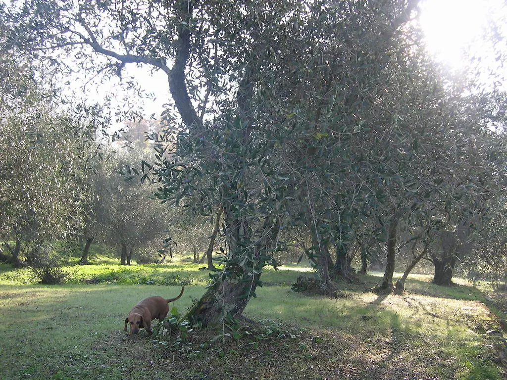 B&B Pra' Di Reto Bed & Breakfast Castelnuovo di Garfagnana