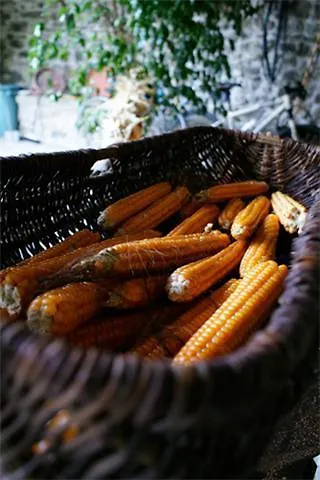 B&B Pra' Di Reto Castelnuovo di Garfagnana