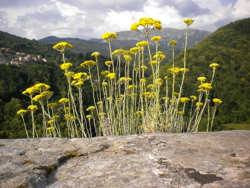 B&B Pra' Di Reto Bed & Breakfast Castelnuovo di Garfagnana